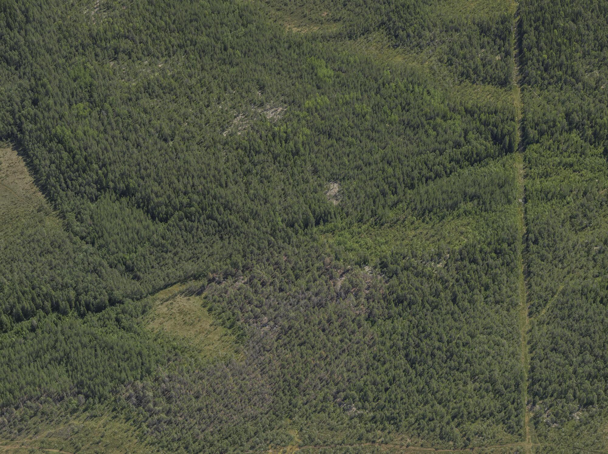 Flygbild över Övrigt i Umeå #372