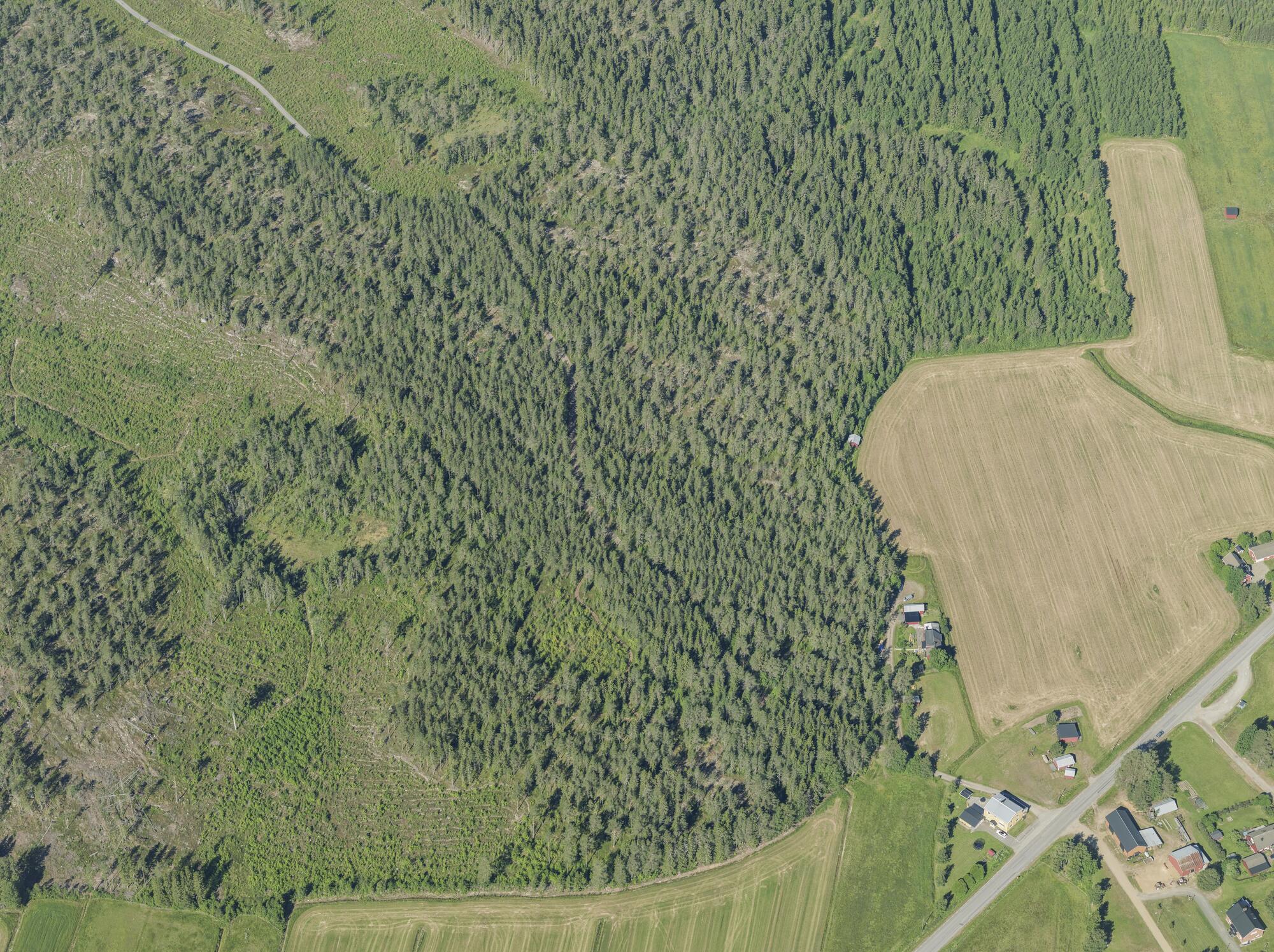 Flygbild över Övrigt i Umeå #927
