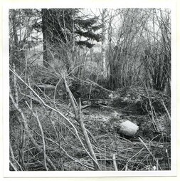 Ålidhemsområdet 1959