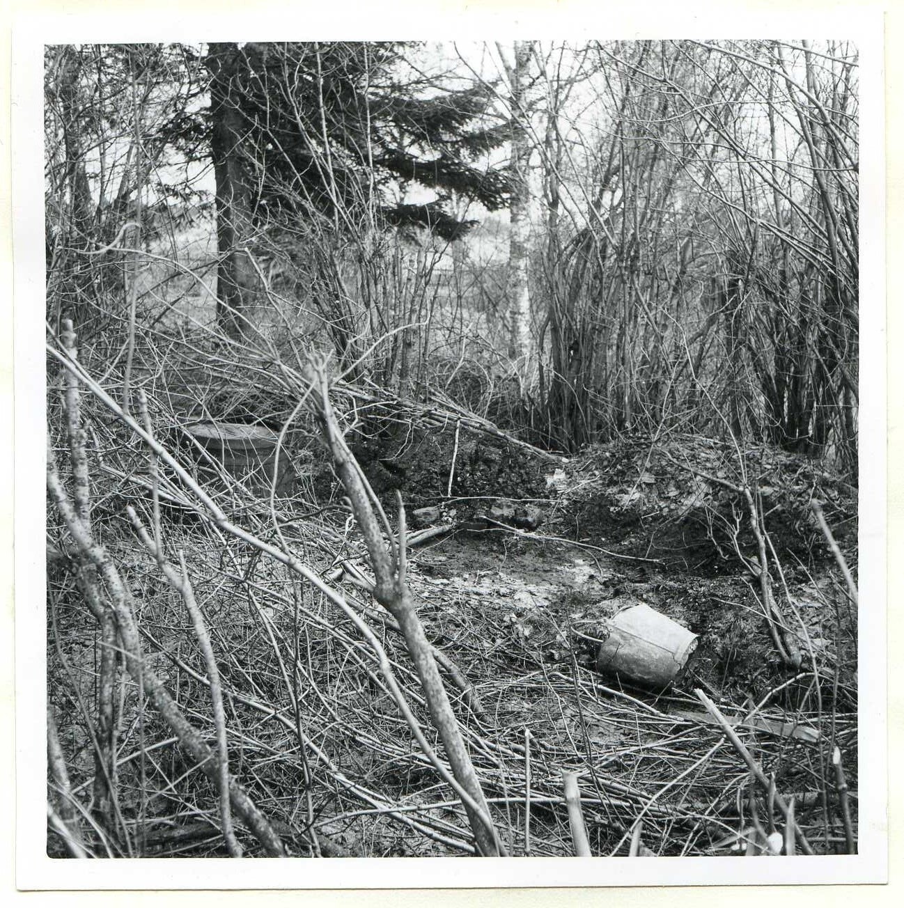 Fru Bobergs fgh kv Älvsgård 1959  utan text