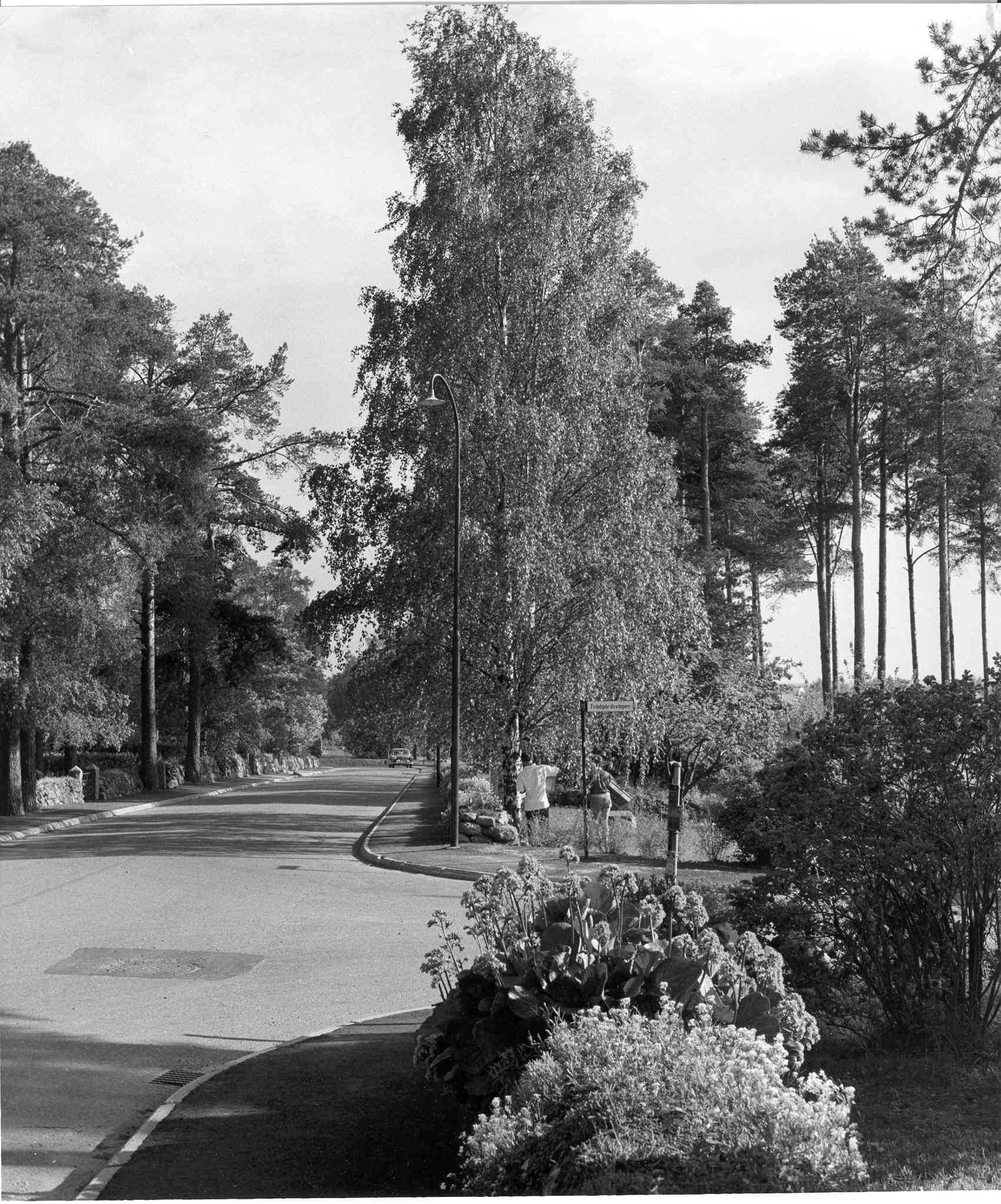 Fridhem 1960-tal