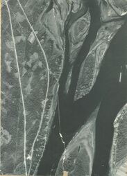 Umeå kringområden 1961