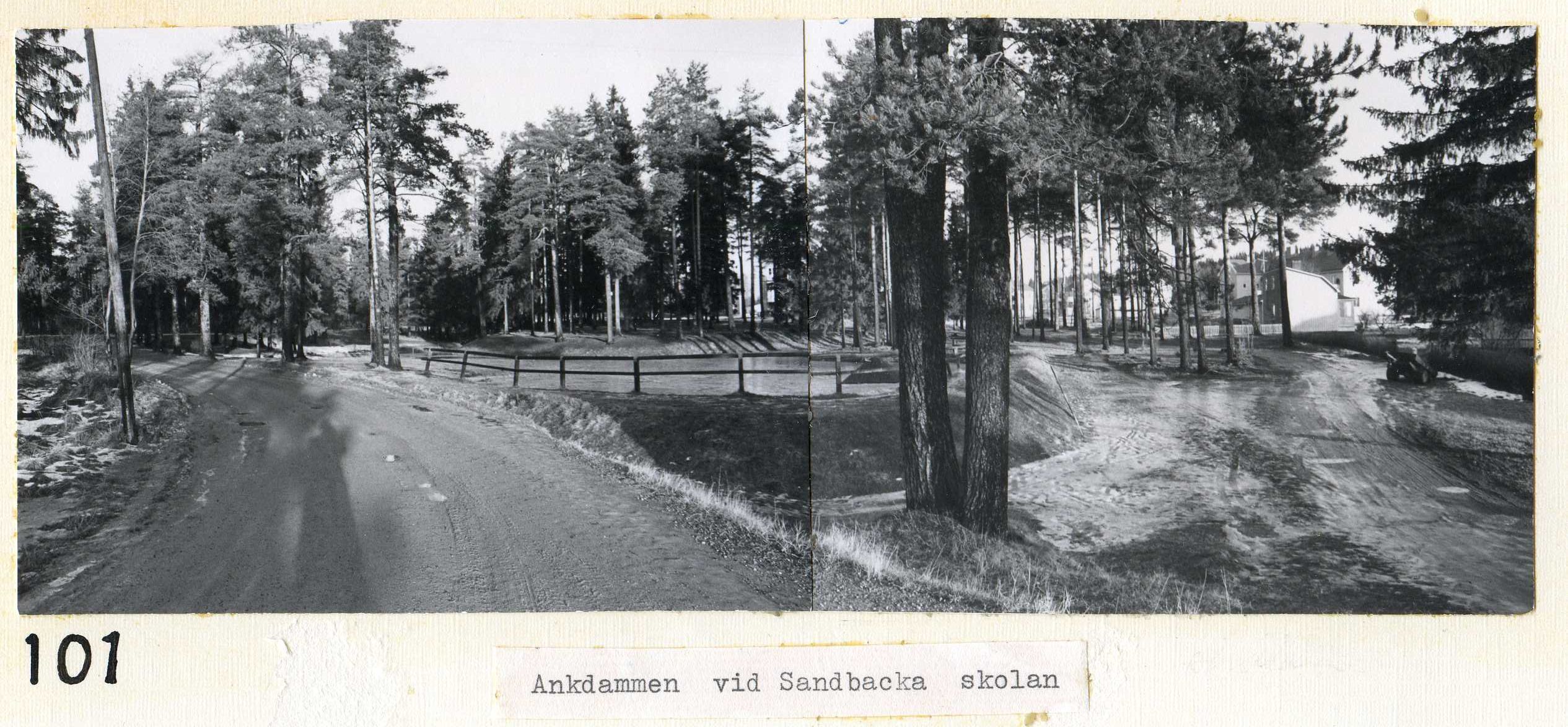 Ankdammen vid Sandbackaskolan 1969