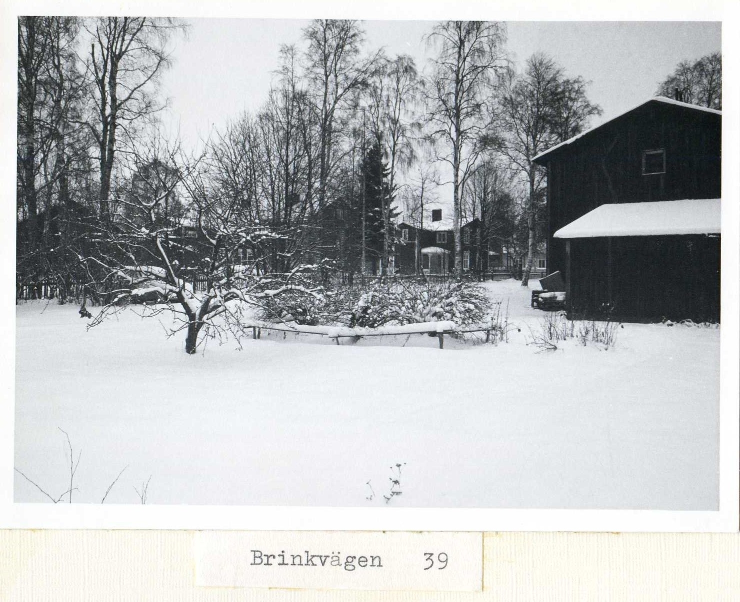 Brinkvägen 39 1969