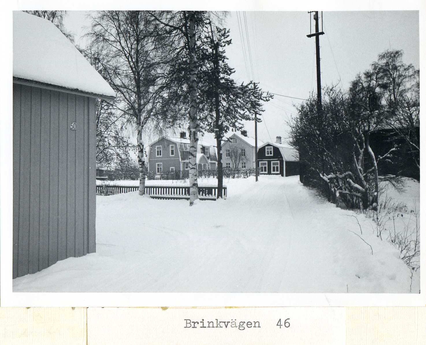 Brinkvägen 46 1969