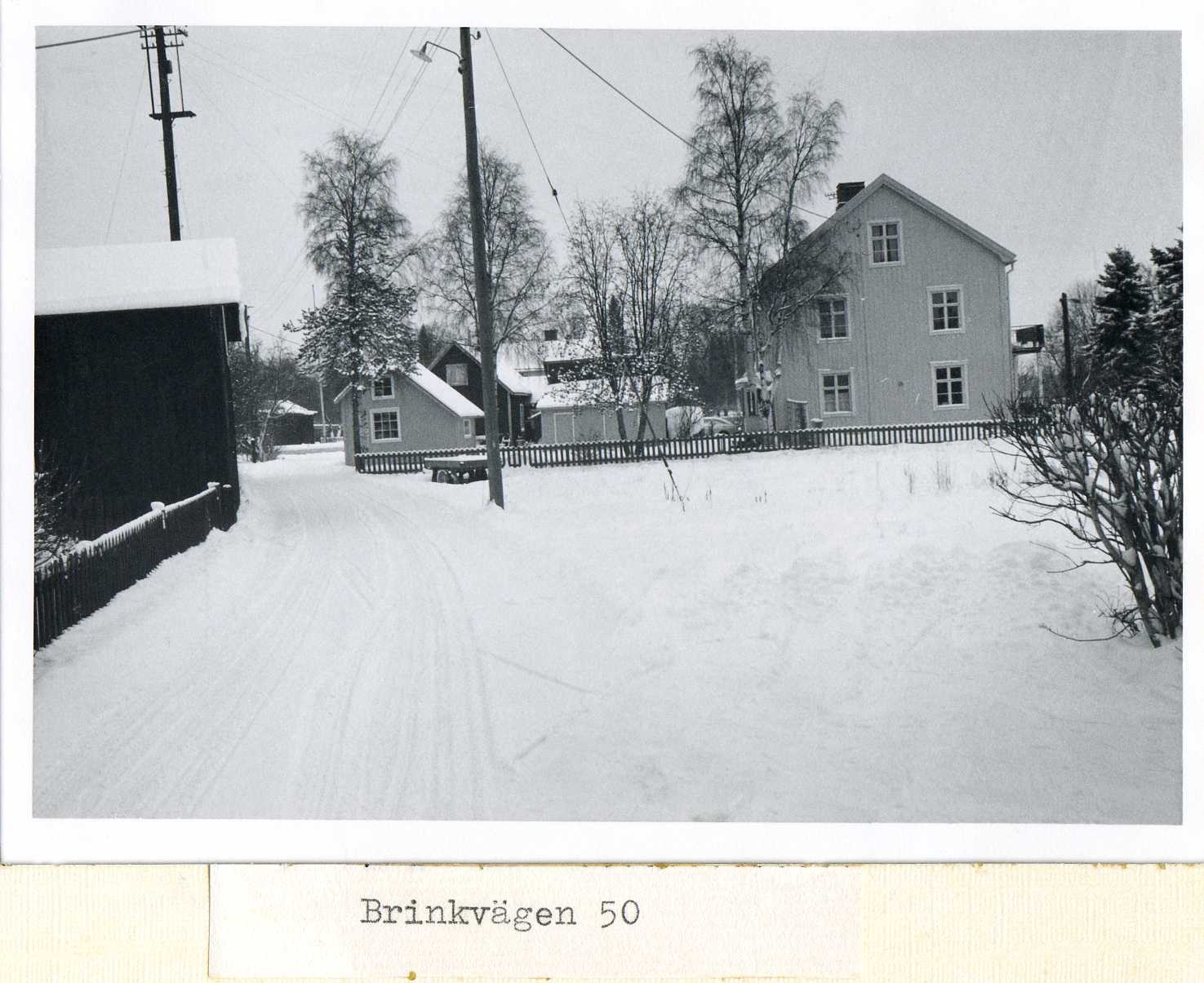 Brinkvägen 50 1969