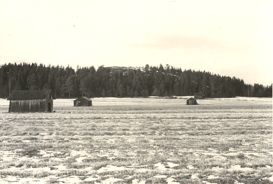 Rödäng Grisbänget Röberget 1969