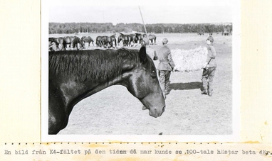 Centrala stan Okänt datum