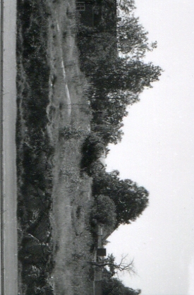 Nuvarande Svedbergsgatan 10 innan bebyggelsen